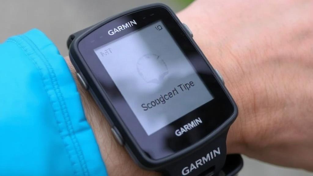 Что делать, если Garmin быстро разряжается. Проверьте экран и яркость